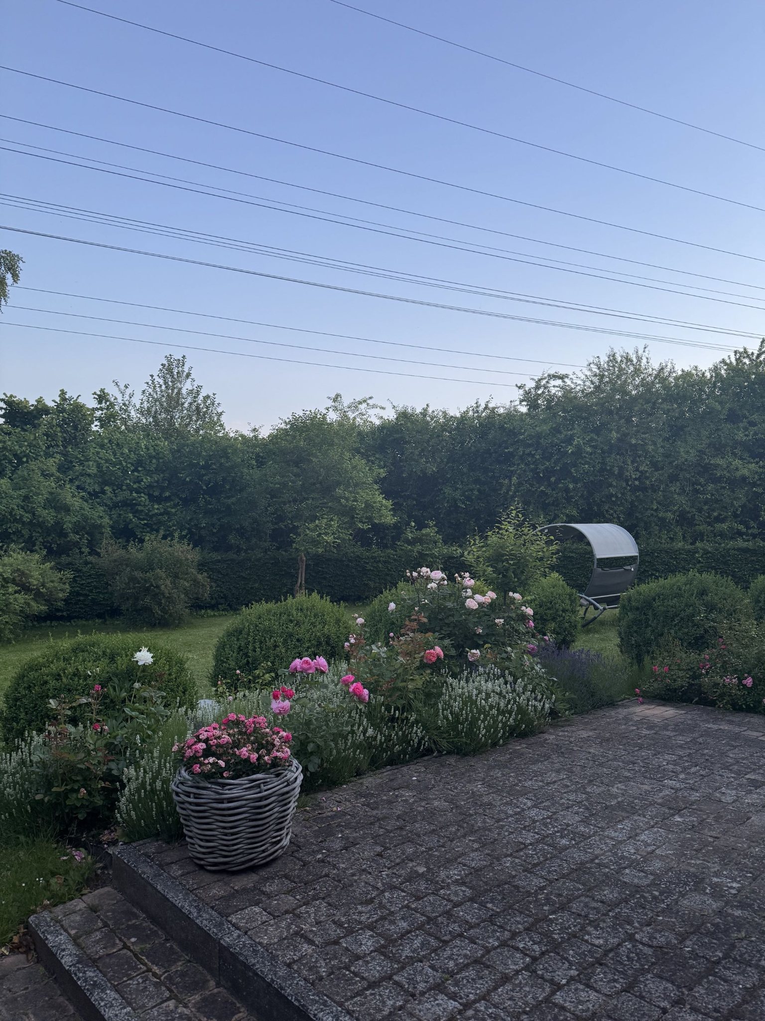 Gepflegte Außenanlage mit Blumen und Pflasterfläche